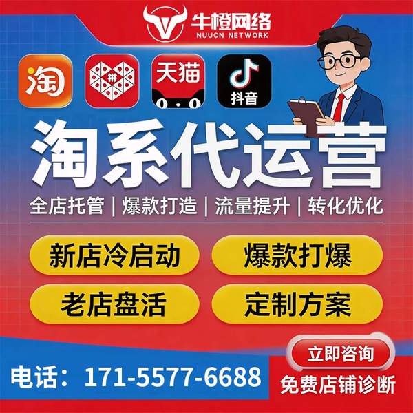 清镇电商代运营