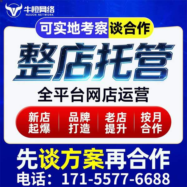 清镇电商代运营