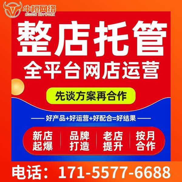 清镇电商代运营