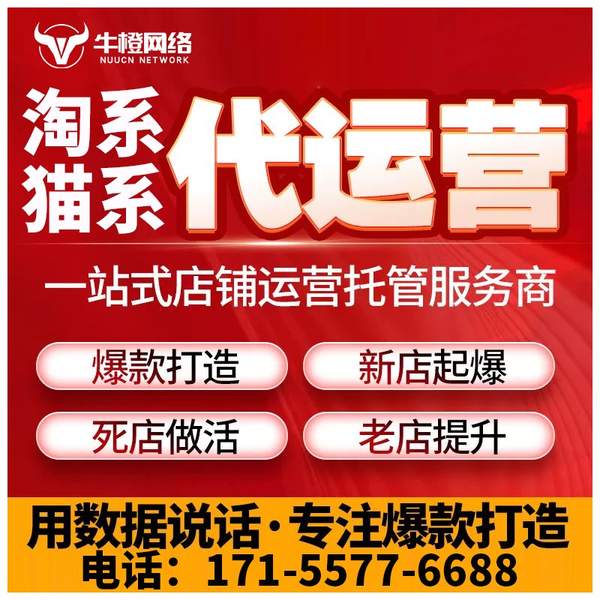 清镇电商代运营